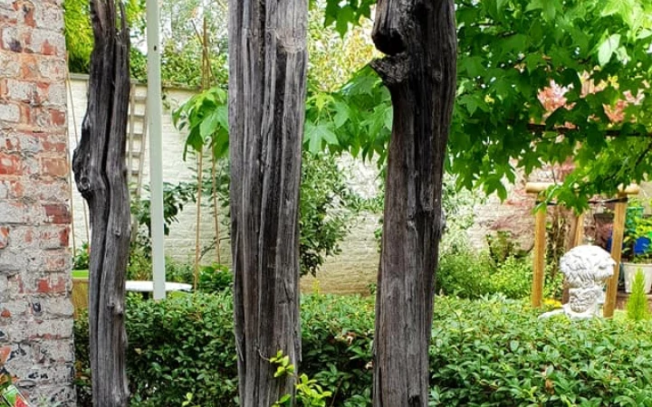 Tuin